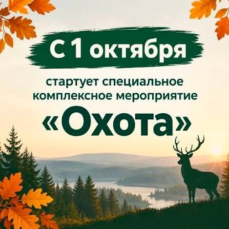 Стартует специальное комплексное мероприятие «Охота»